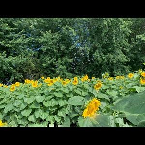 Meet your Posher, Marcie